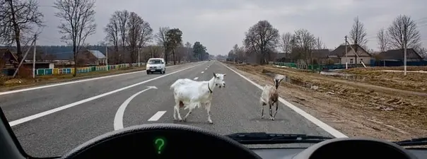 Иллюстрация к вопросу